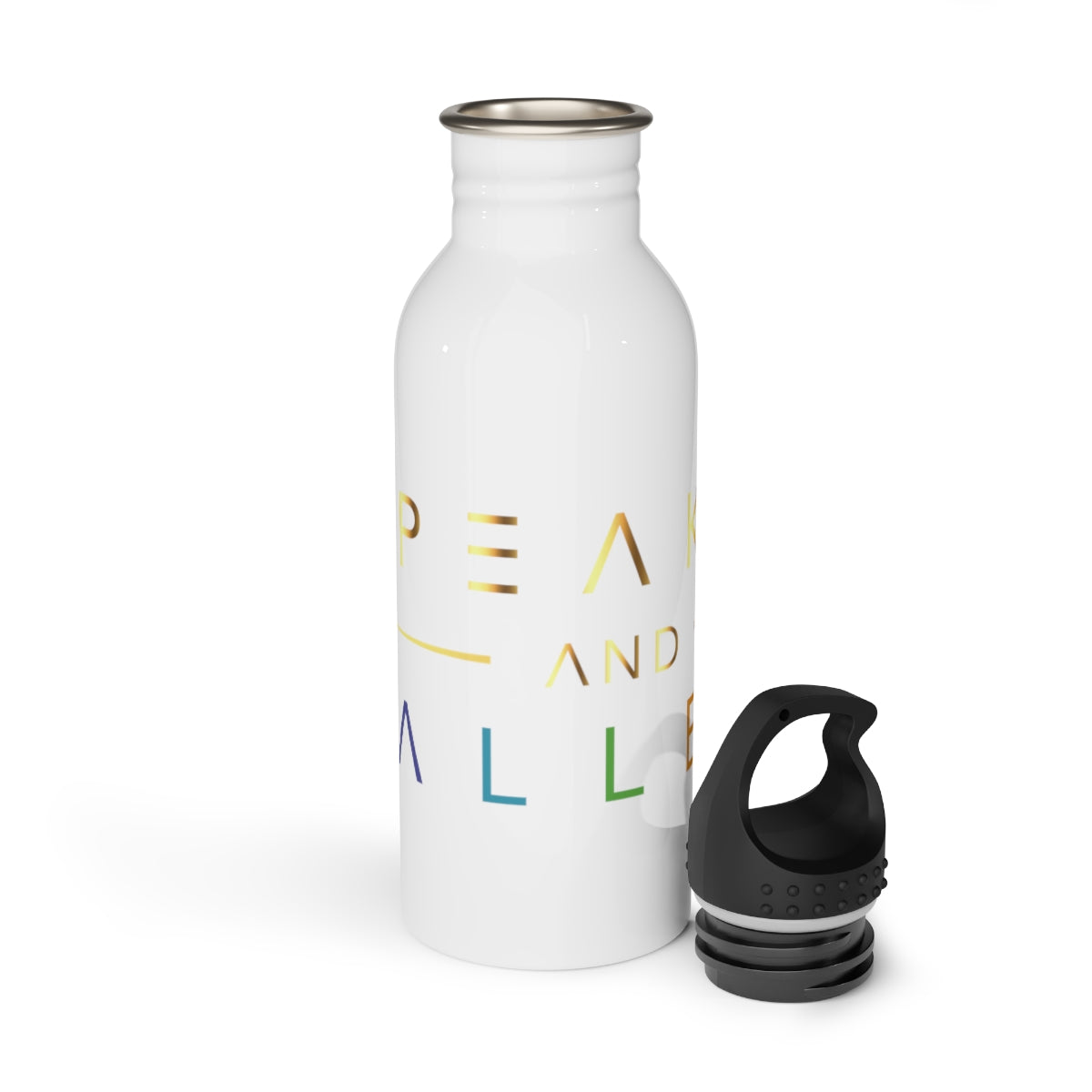 Stainless Steel Water Bottle