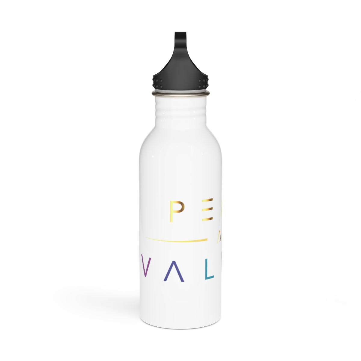 Stainless Steel Water Bottle