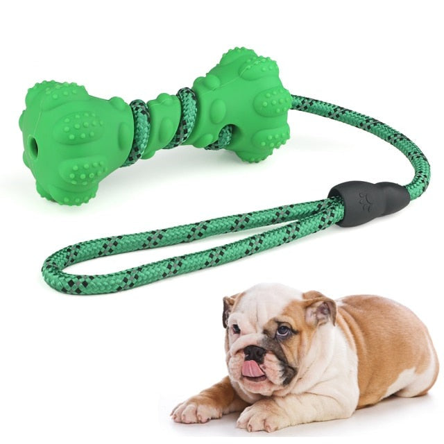 Teeth Cleaning Pet Accessories