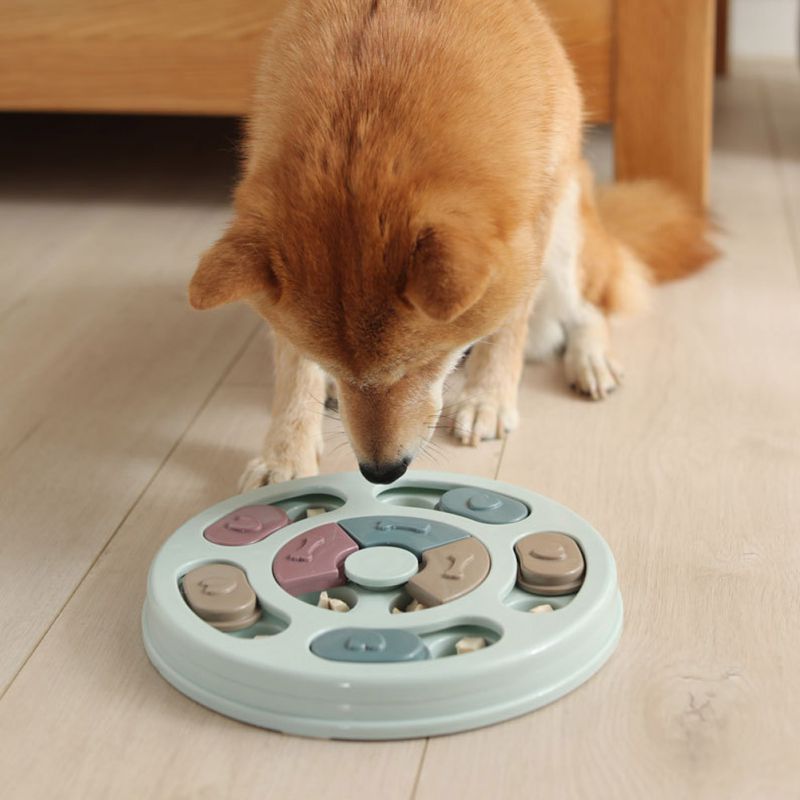 Feeder Plate Training Games